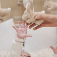 Ropa de cuna para tu bebe diseñada artesanalmente. Vestimos tus cunas y minicunas, cestos Moises y carritos de paseo